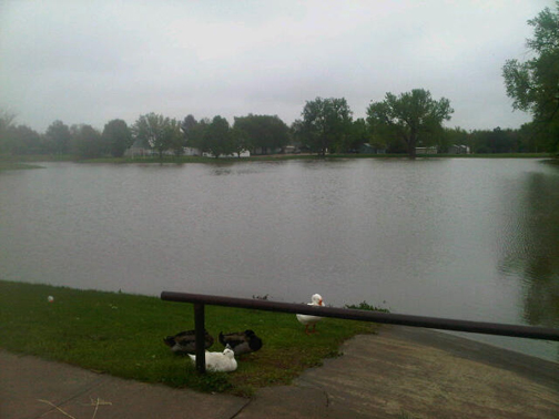 Picture from May 2011 Flooding